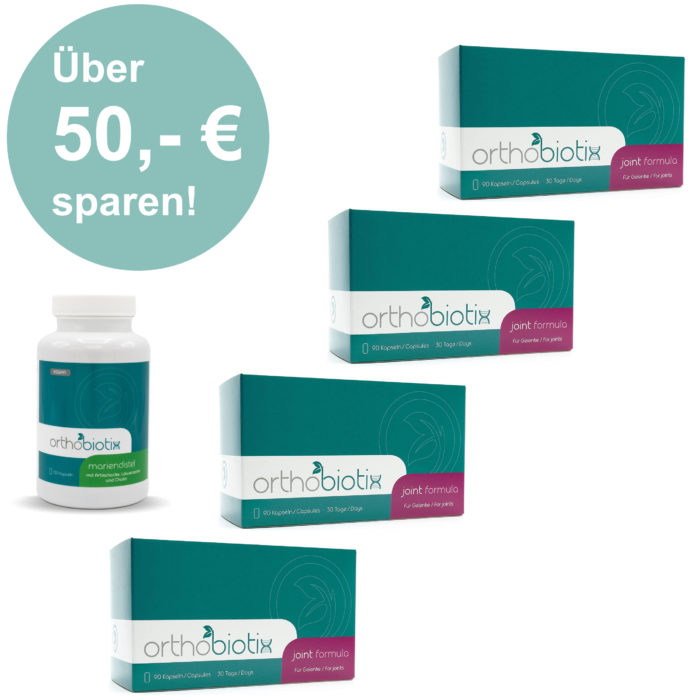 4x joint formula + 1x Mariendistel